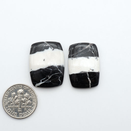White Buffalo stone cabochons, white stone with black matrix, polished stones on a white background, with a US dime for scale