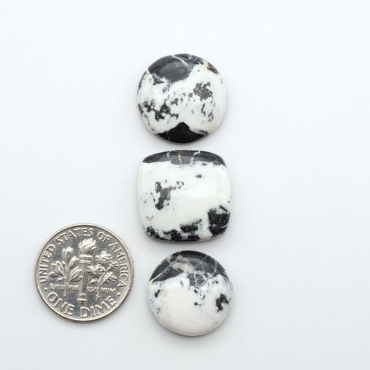 White Buffalo stone cabochons, white stone with black matrix, polished stones on a white background, with a US dime for scale