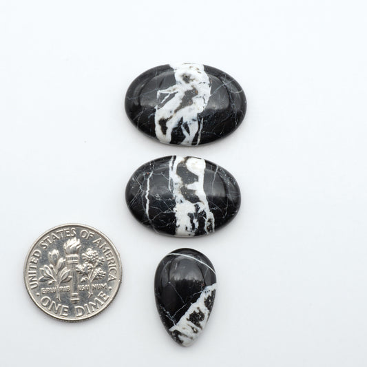 White Buffalo stone cabochons, white stone with black matrix, polished stones on a white background, with a US dime for scale