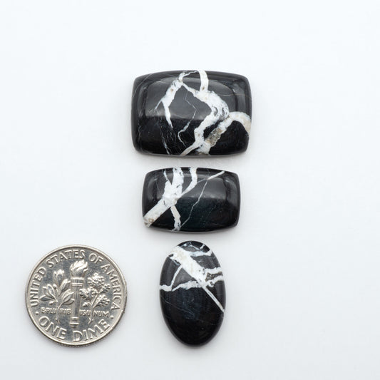 White Buffalo stone cabochons, white stone with black matrix, polished stones on a white background, with a US dime for scale