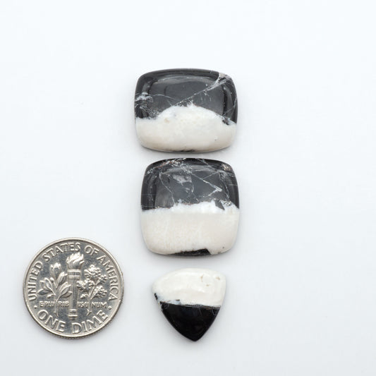 White Buffalo stone cabochons, white stone with black matrix, polished stones on a white background, with a US dime for scale