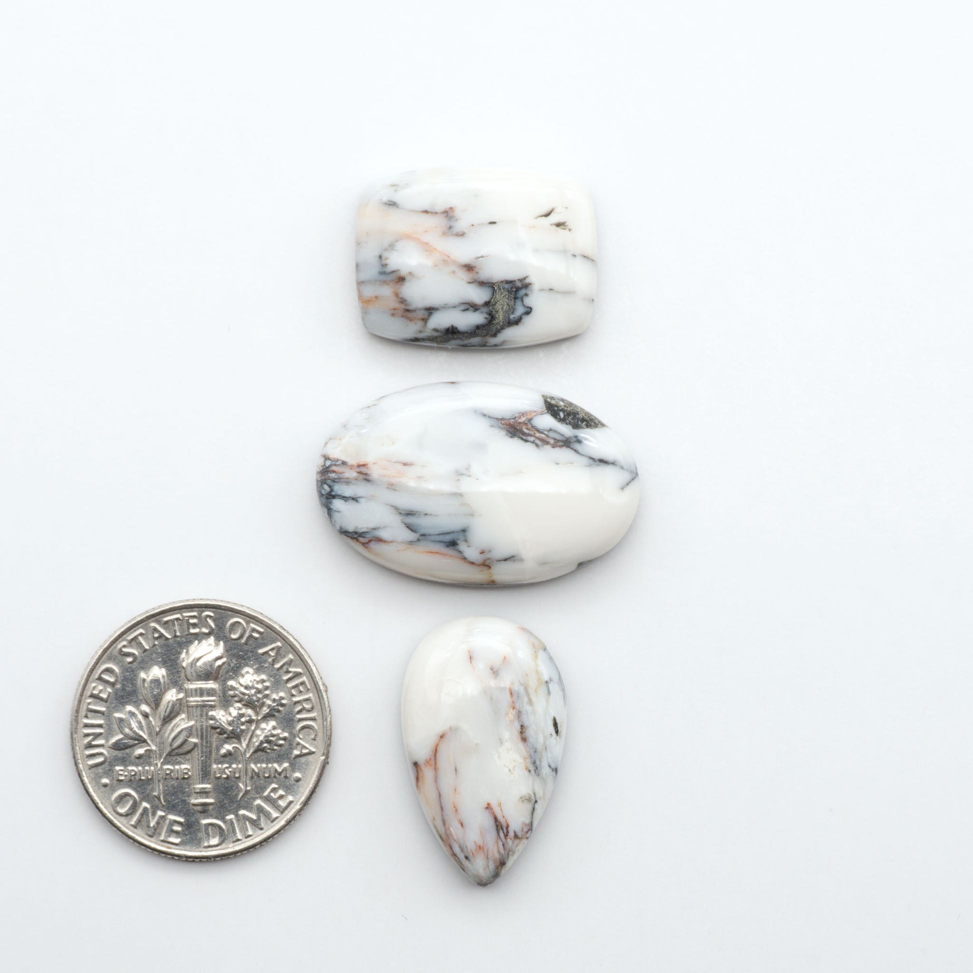 White Buffalo stone cabochons, white stone with black matrix, polished stones on a white background, with a US dime for scale