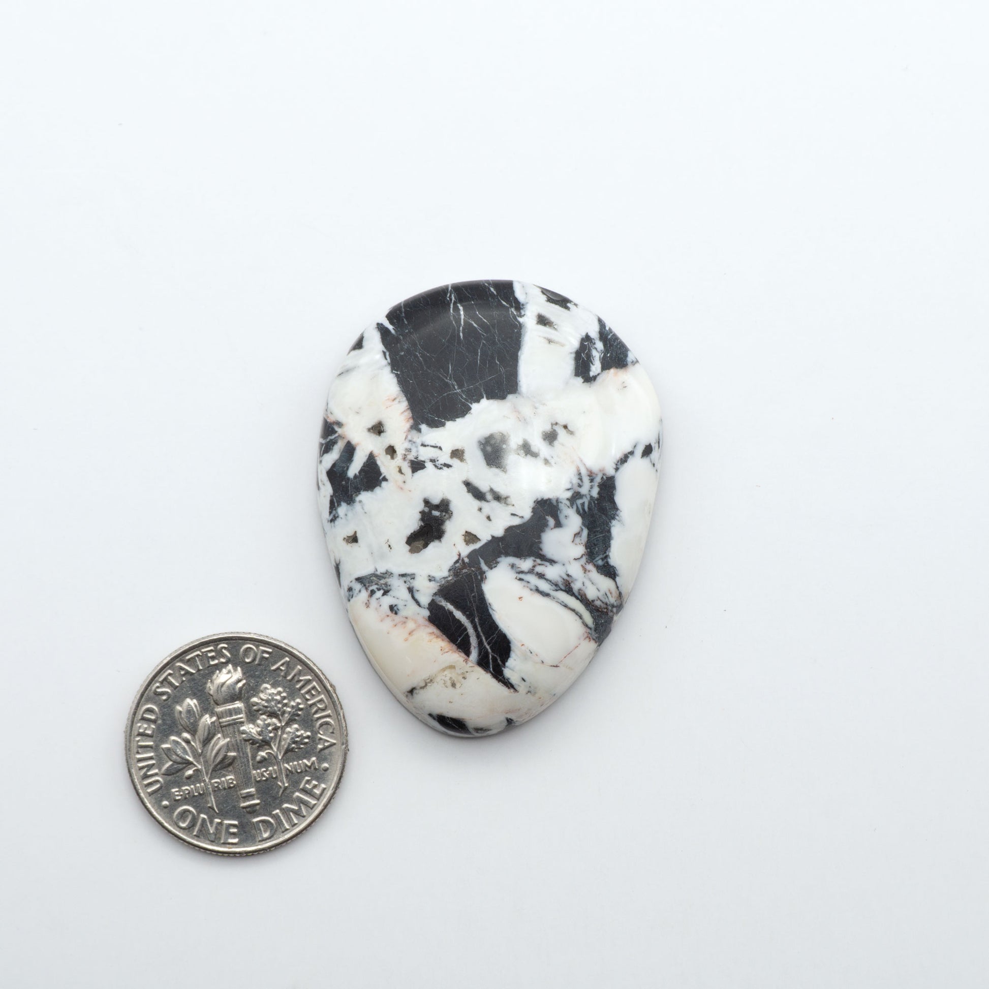White Buffalo stone cabochons, white stone with black matrix, polished stones on a white background, with a US dime for scale