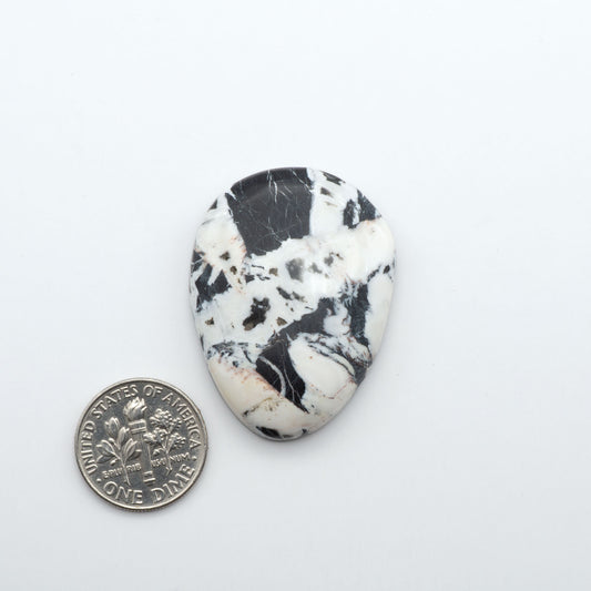 White Buffalo stone cabochons, white stone with black matrix, polished stones on a white background, with a US dime for scale