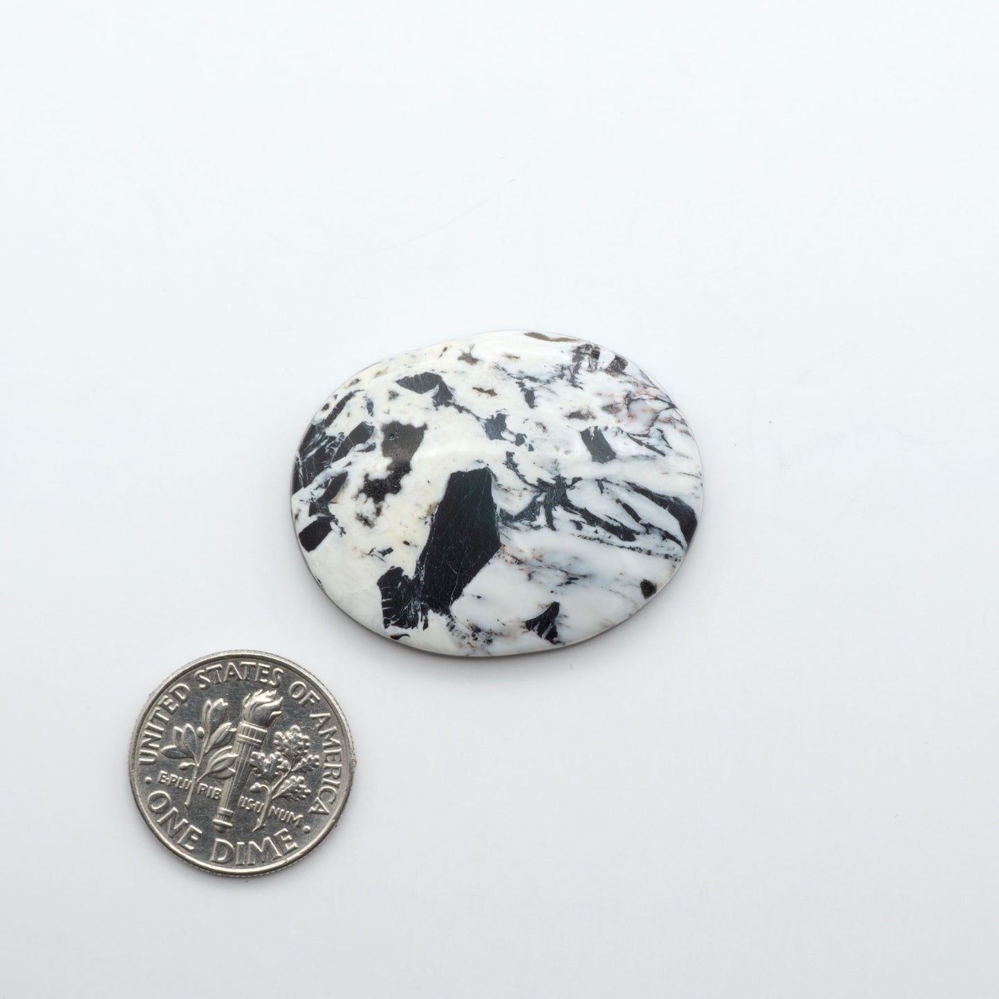 White Buffalo stone cabochons, white stone with black matrix, polished stones on a white background, with a US dime for scale