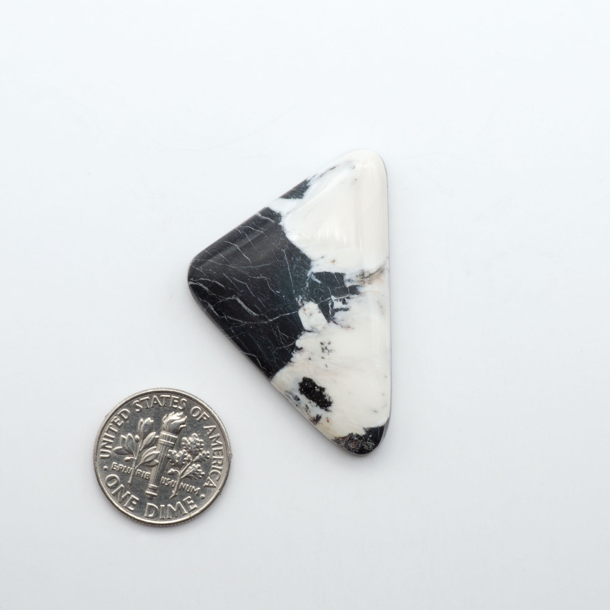 White Buffalo stone cabochons, white stone with black matrix, polished stones on a white background, with a US dime for scale