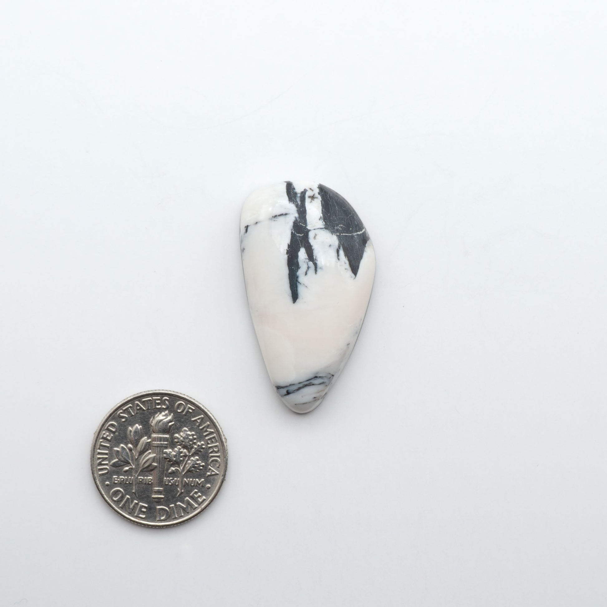 White Buffalo stone cabochons, white stone with black matrix, polished stones on a white background, with a US dime for scale