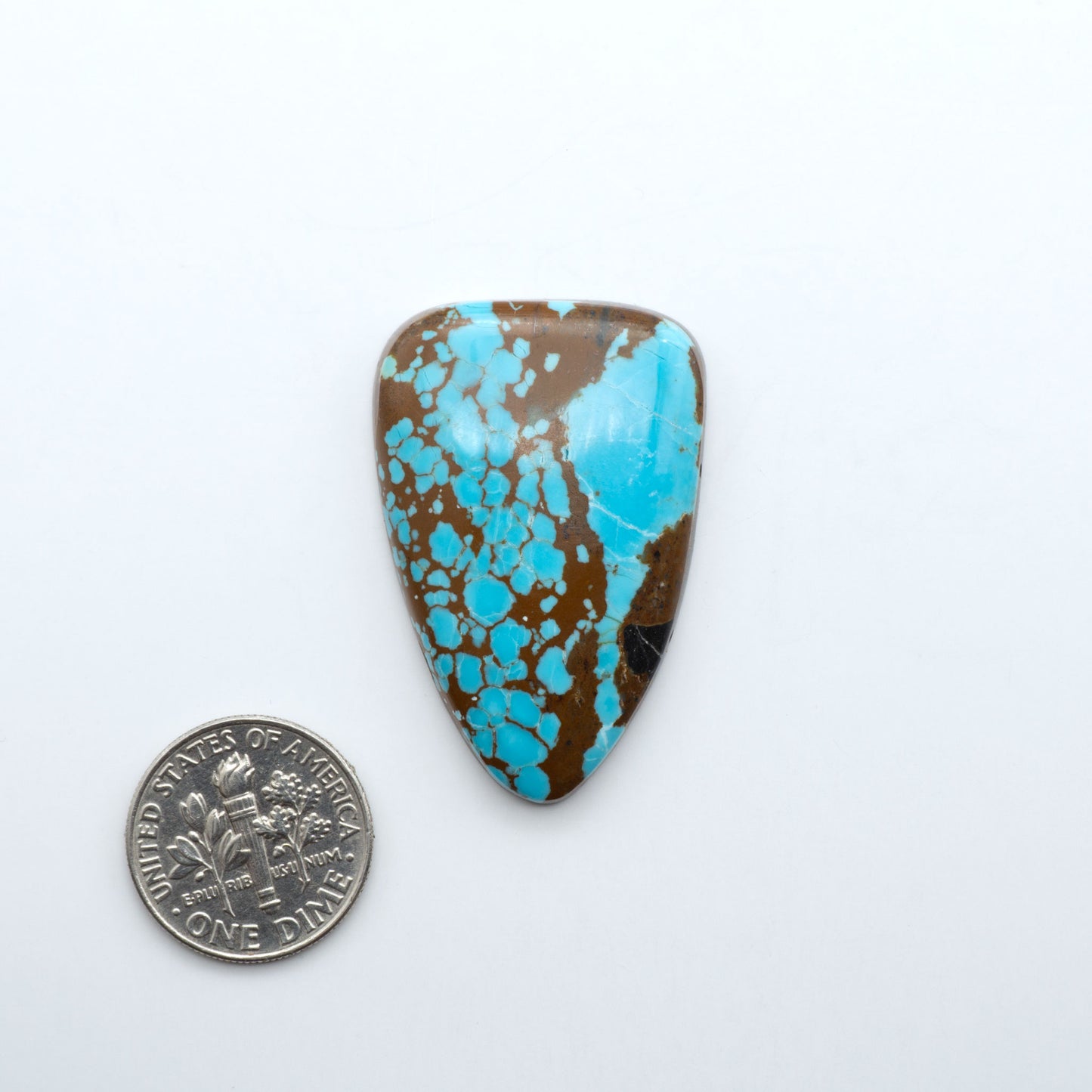 Number 8 Turquoise cabochons, blue and green color with brown matrix, polished stones on a white background, with a US dime for scale