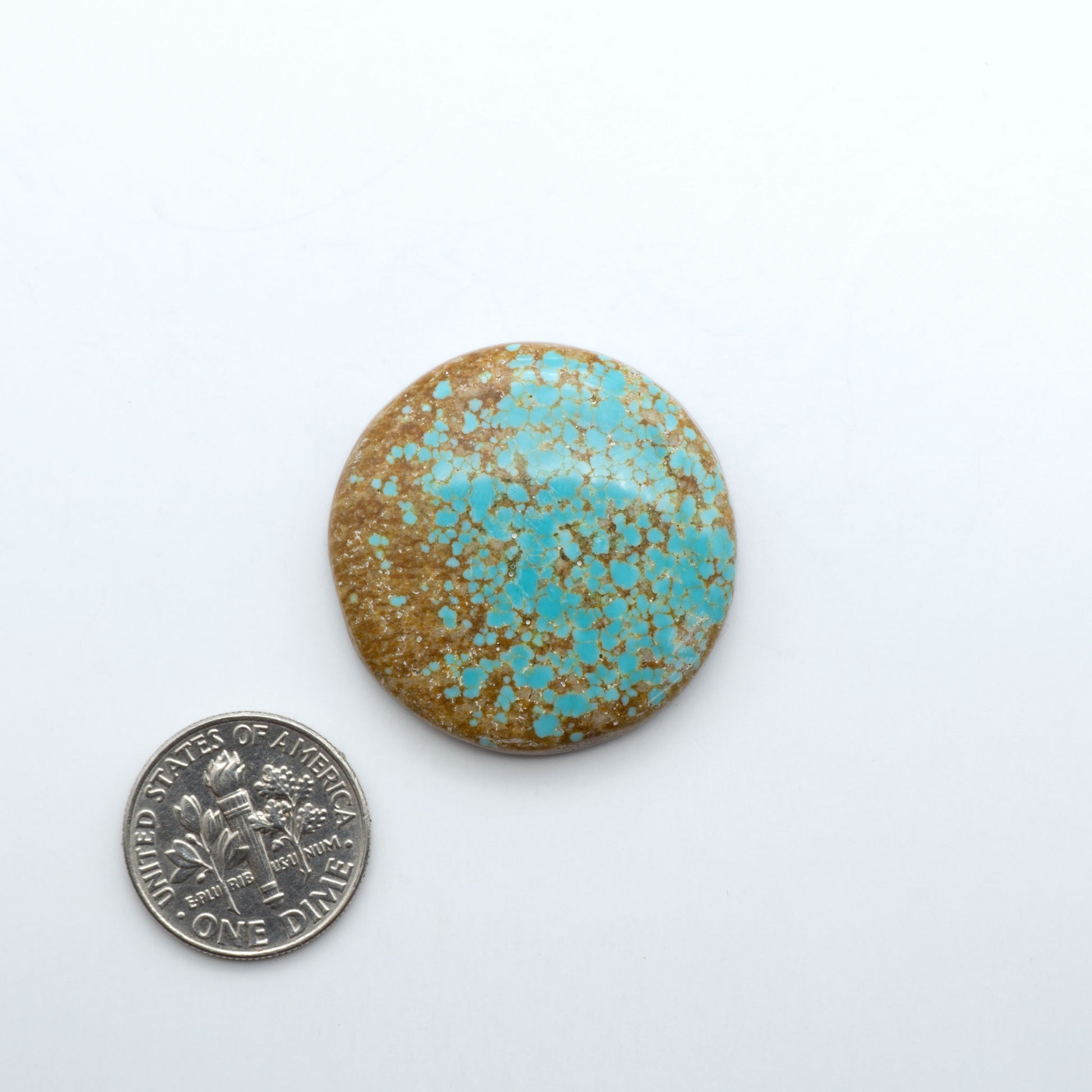 Number 8 Turquoise cabochons, blue and green color with brown matrix, polished stones on a white background, with a US dime for scale