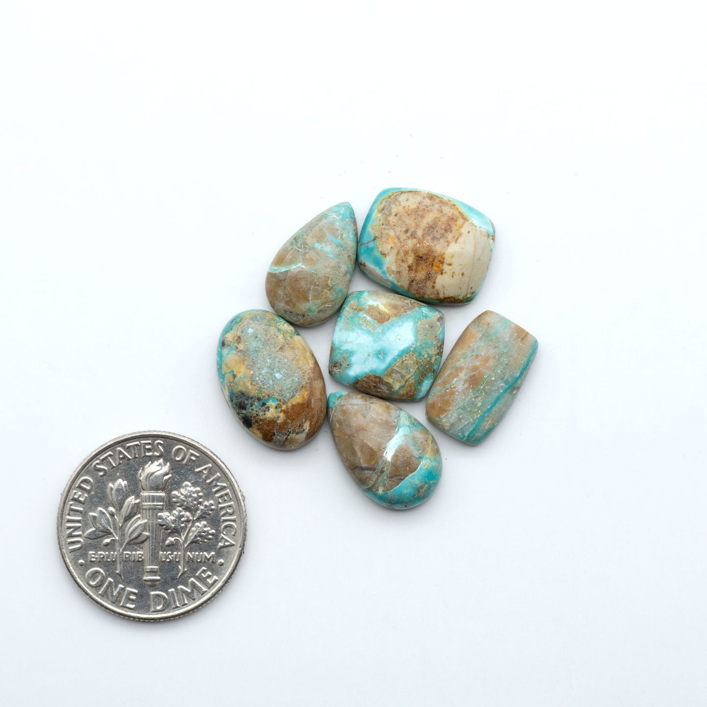 Fox Turquoise cabochons, polished gemstones with natural matrix on a white background, with a US dime for scale