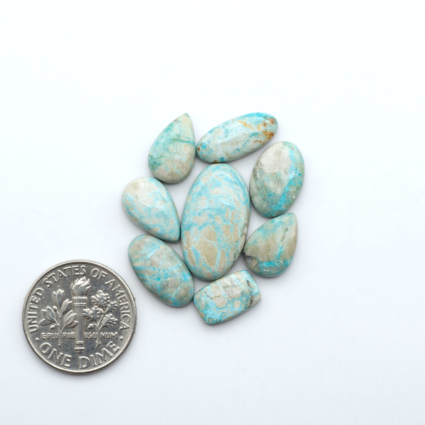 Fox Turquoise cabochons, polished gemstones with natural matrix on a white background, with a US dime for scale