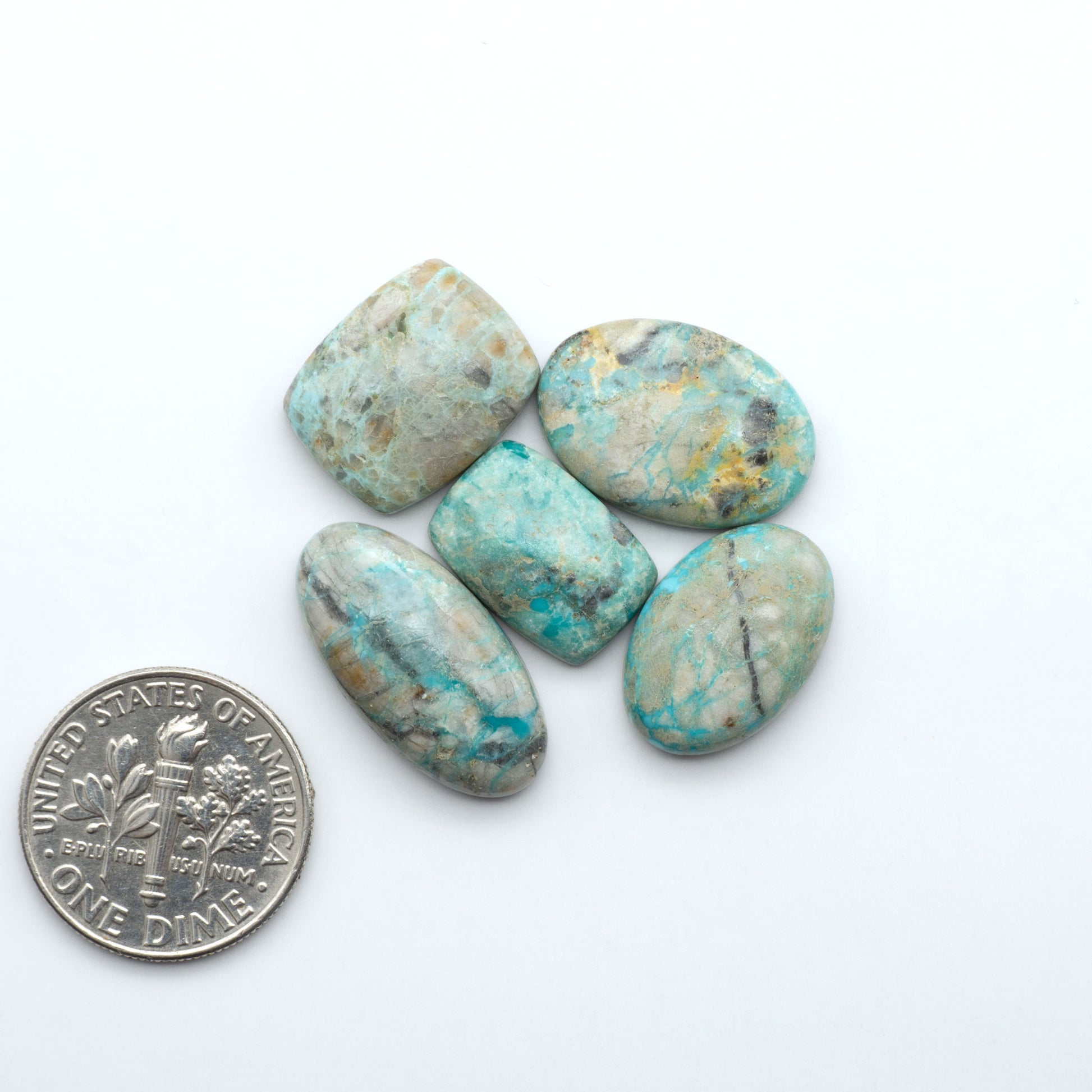 Fox Turquoise cabochons, polished gemstones with natural matrix on a white background, with a US dime for scale