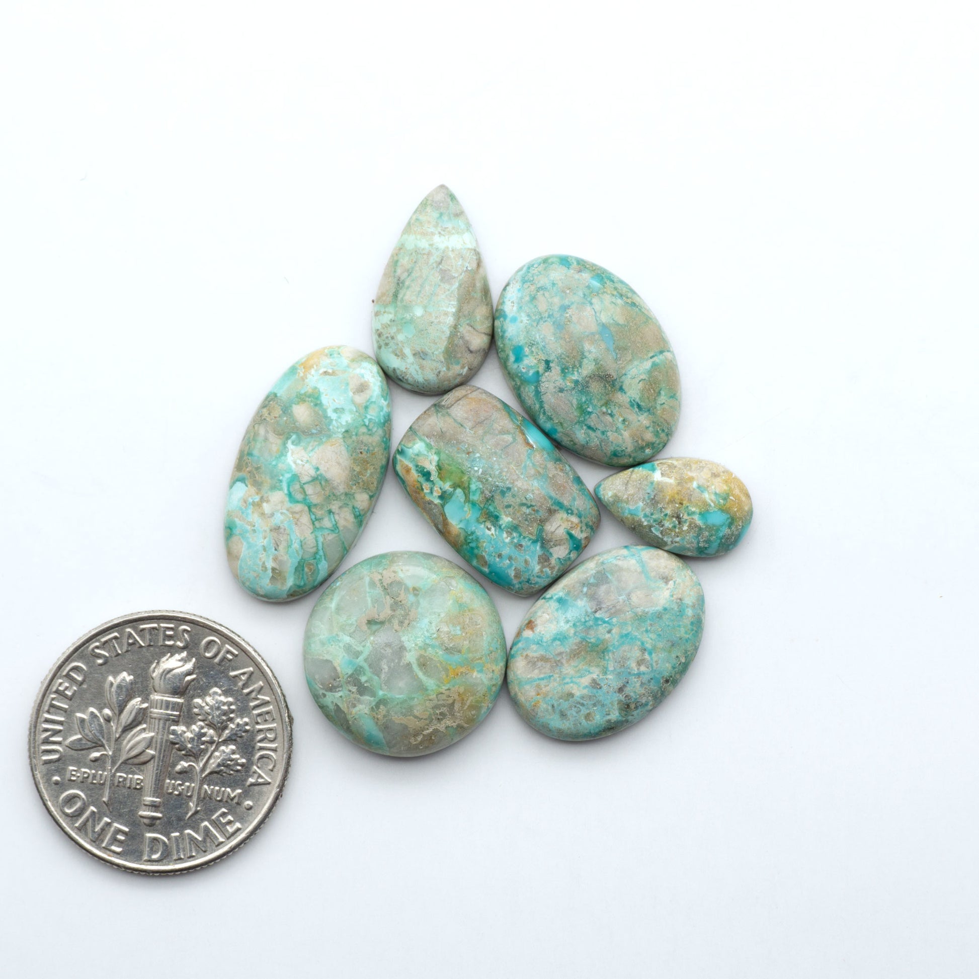 Fox Turquoise cabochons, polished gemstones with natural matrix on a white background, with a US dime for scale