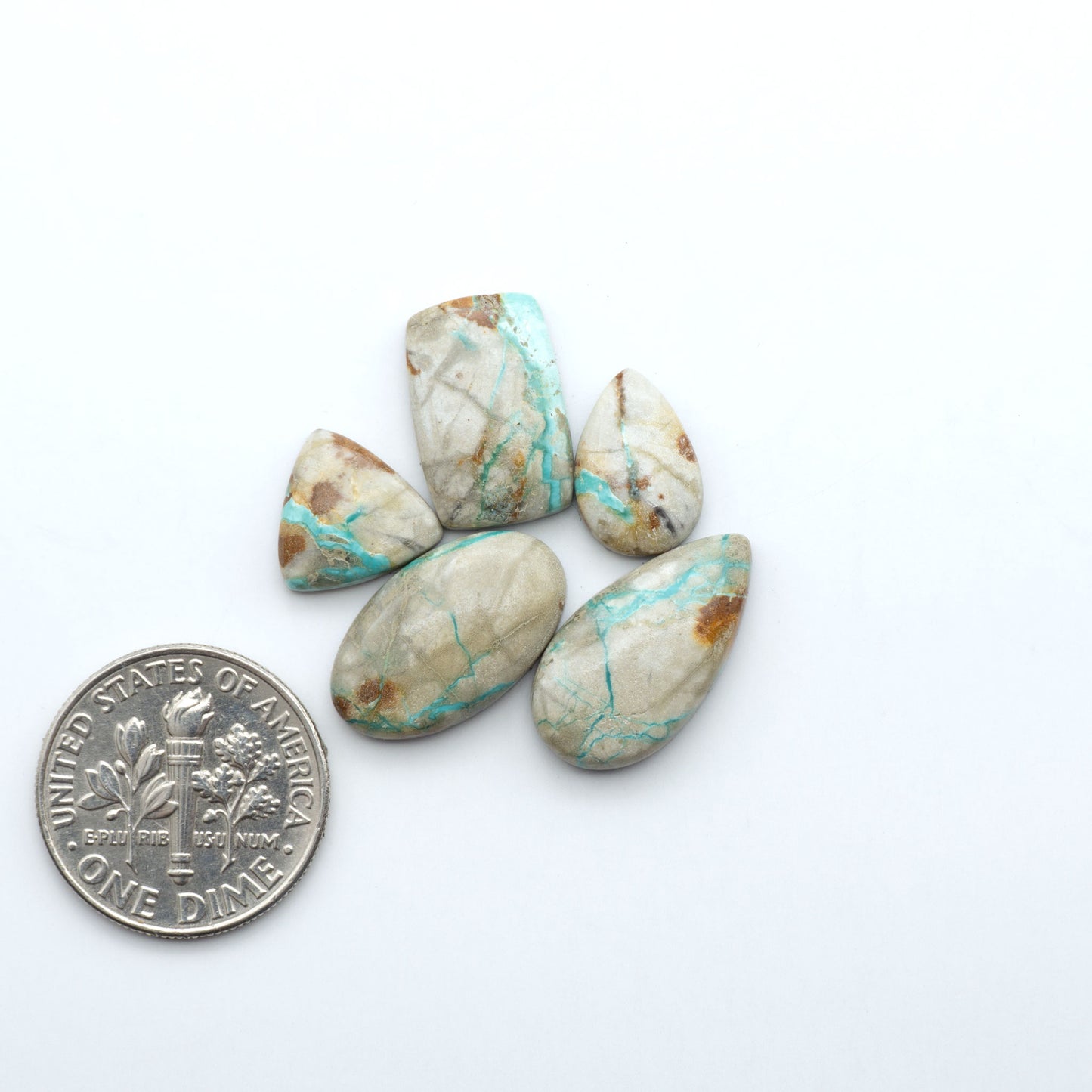 Fox Turquoise cabochons, polished gemstones with natural matrix on a white background, with a US dime for scale