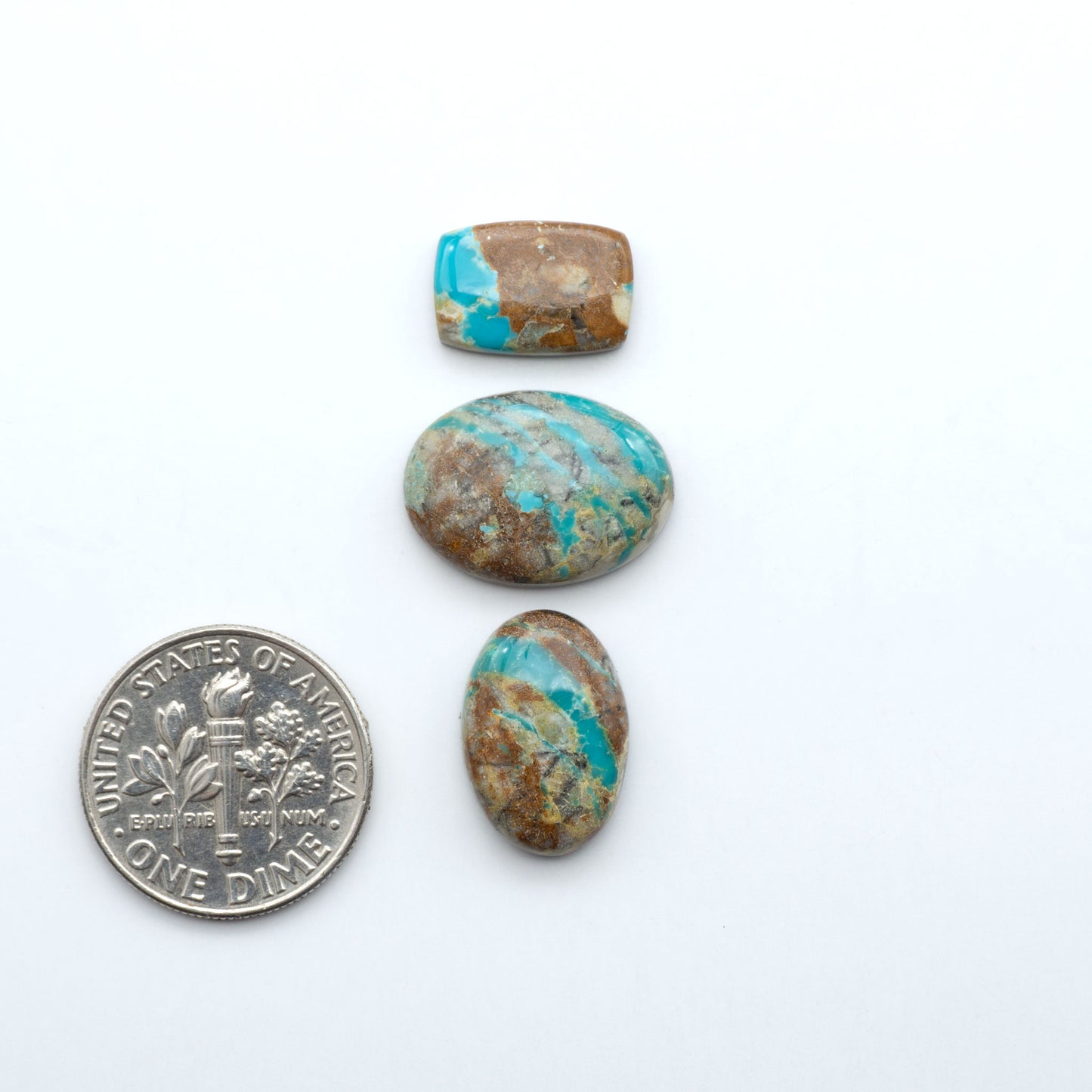 Fox Turquoise cabochons, polished gemstones with natural matrix on a white background, with a US dime for scale