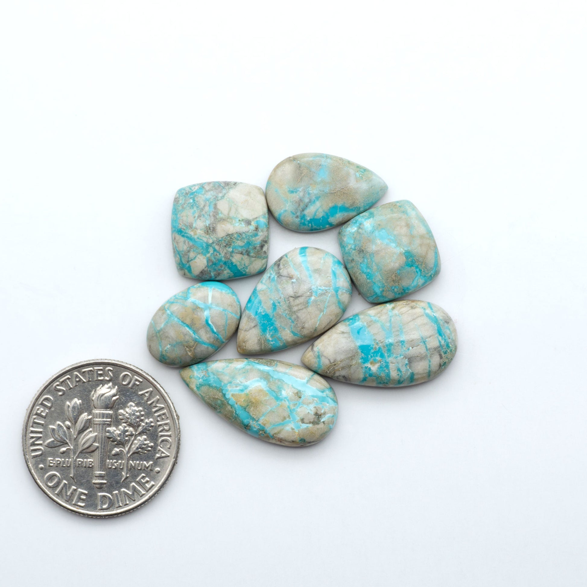 Fox Turquoise cabochons, polished gemstones with natural matrix on a white background, with a US dime for scale