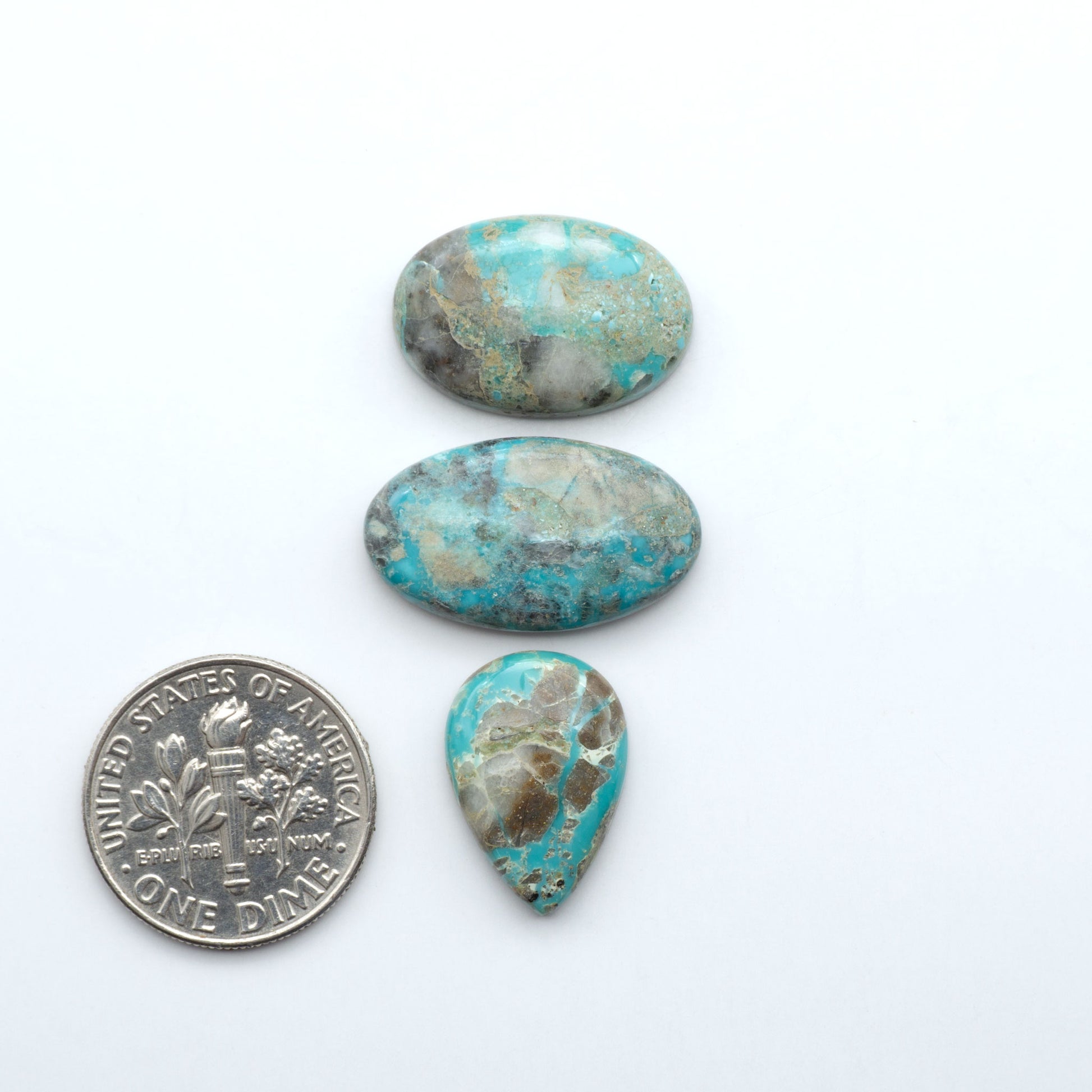 Fox Turquoise cabochons, polished gemstones with natural matrix on a white background, with a US dime for scale
