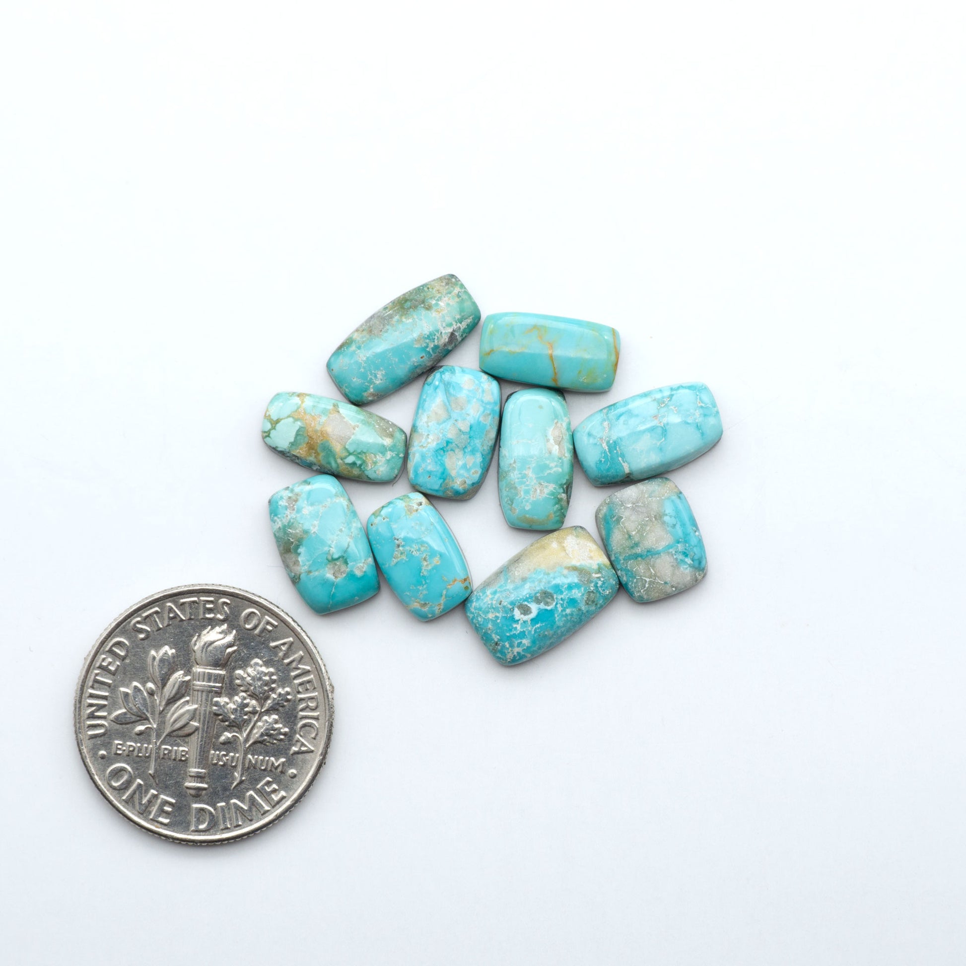 Fox Turquoise cabochons, polished gemstones with natural matrix on a white background, with a US dime for scale