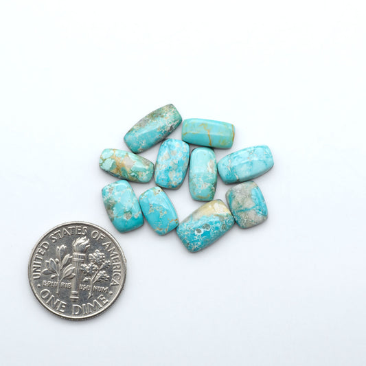 Fox Turquoise cabochons, polished gemstones with natural matrix on a white background, with a US dime for scale