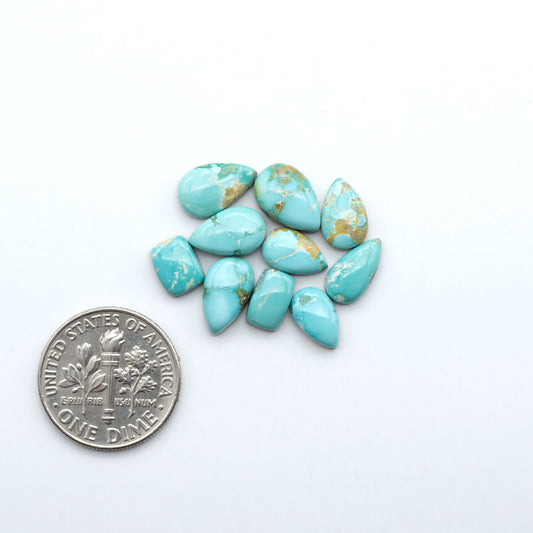 Fox Turquoise cabochons, polished gemstones with natural matrix on a white background, with a US dime for scale