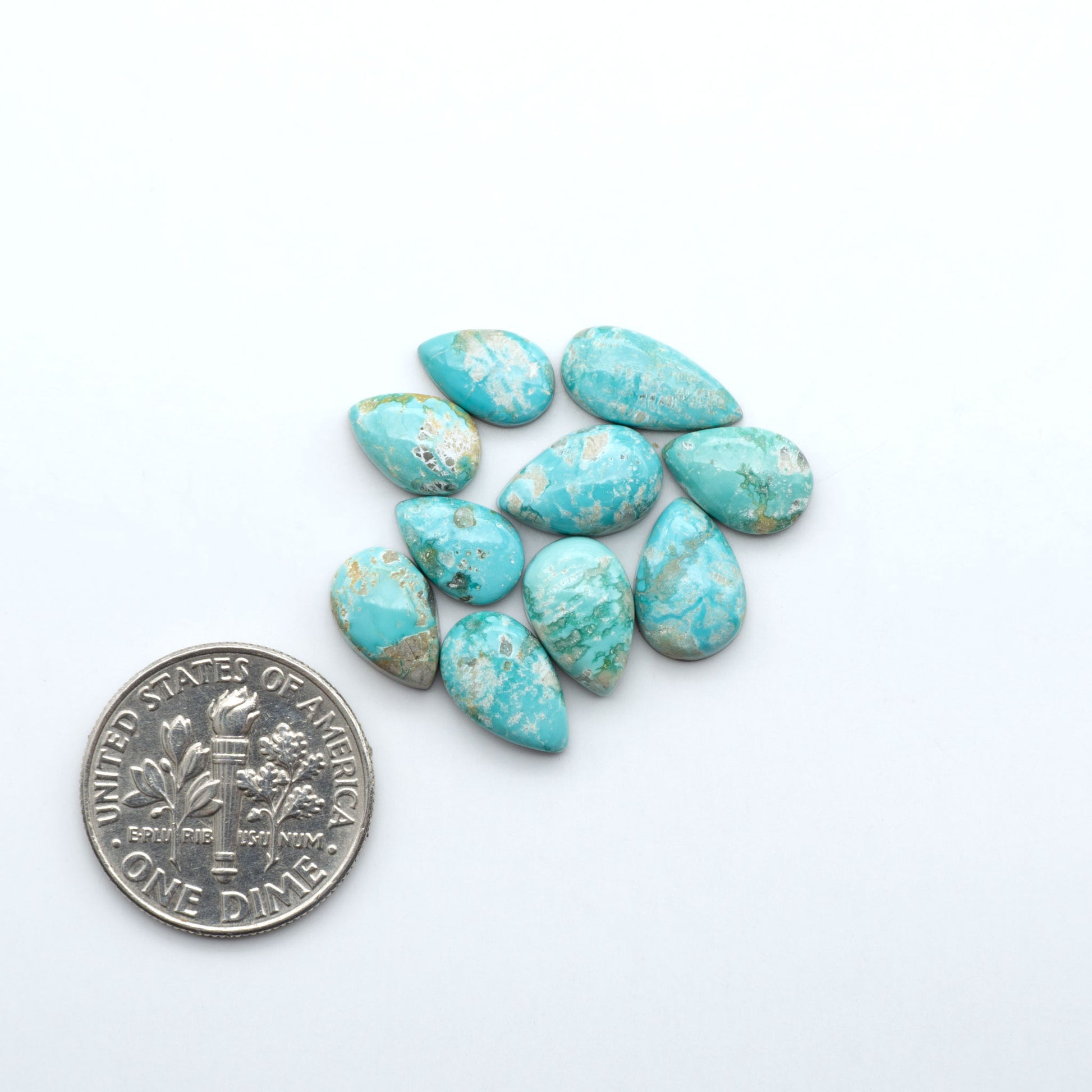 Fox Turquoise cabochons, polished gemstones with natural matrix on a white background, with a US dime for scale