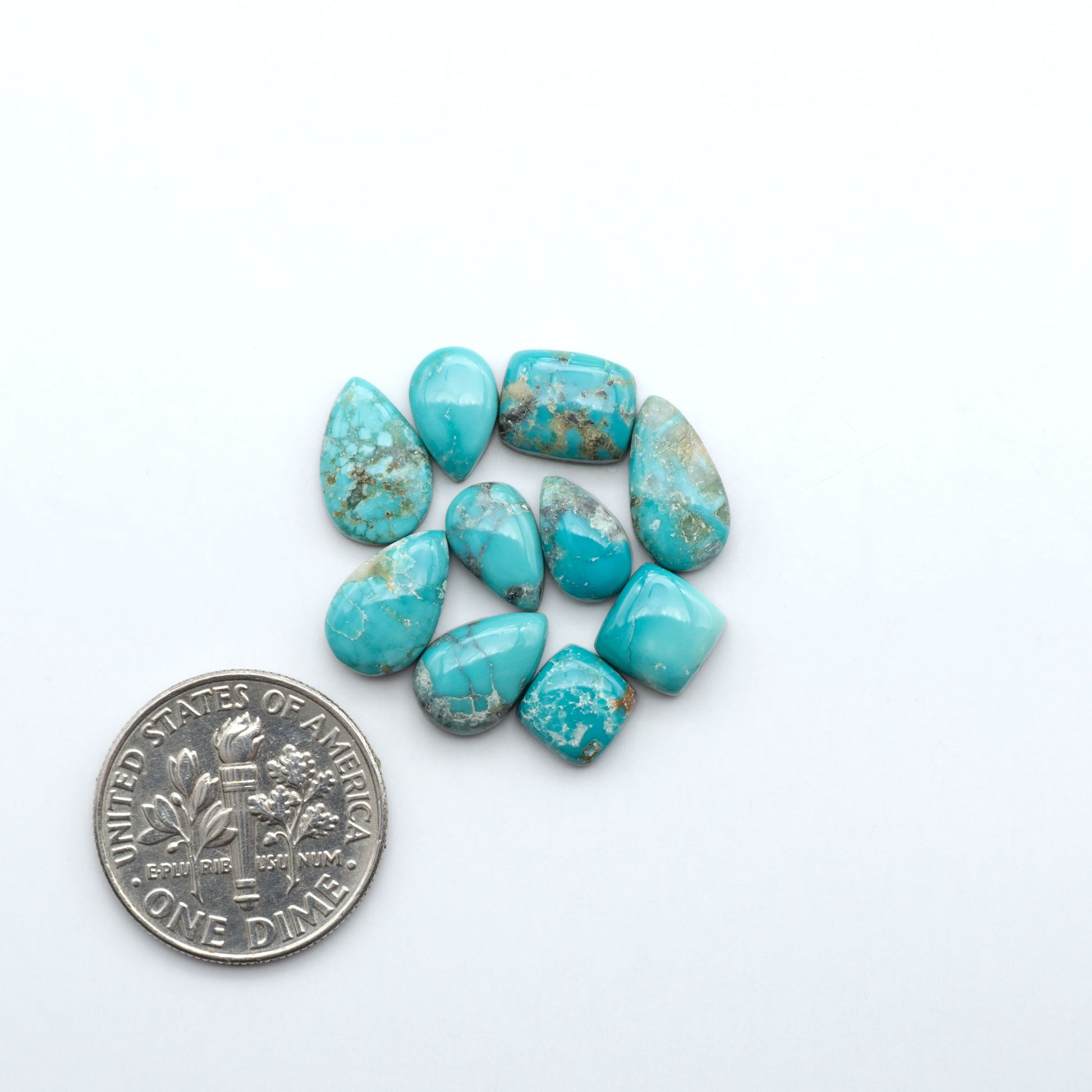 Fox Turquoise cabochons, polished gemstones with natural matrix on a white background, with a US dime for scale