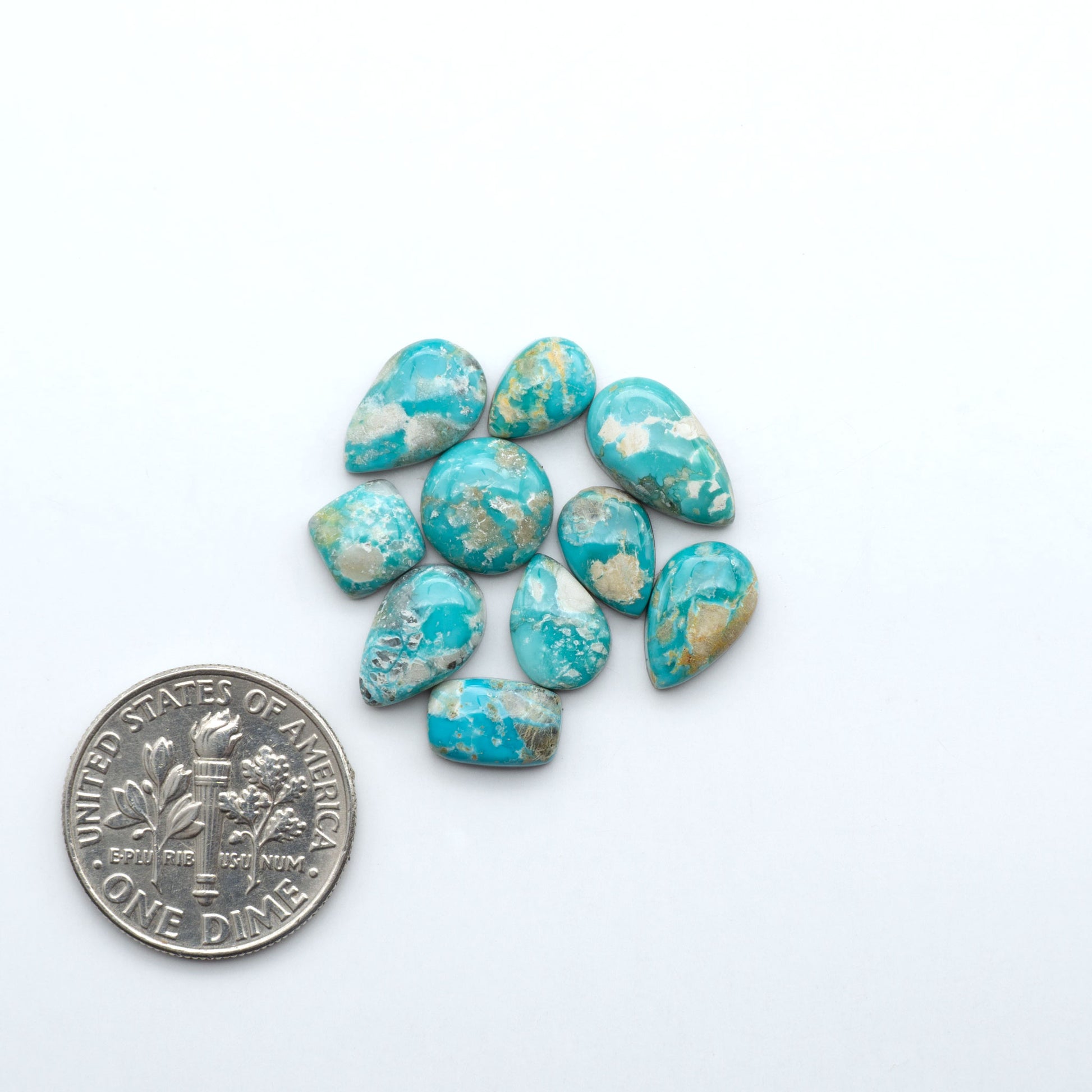Fox Turquoise cabochons, polished gemstones with natural matrix on a white background, with a US dime for scale