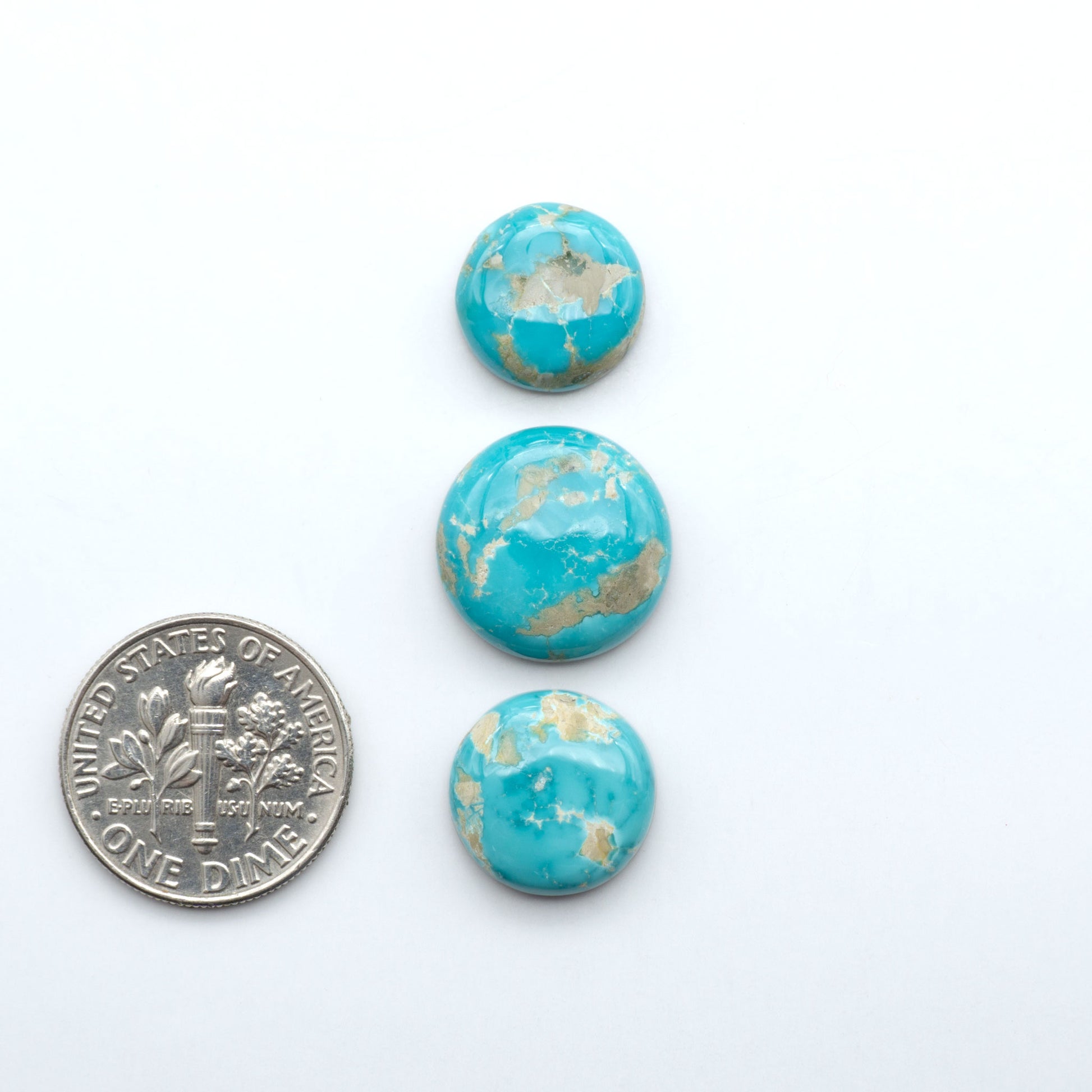 Fox Turquoise cabochons, polished gemstones with natural matrix on a white background, with a US dime for scale