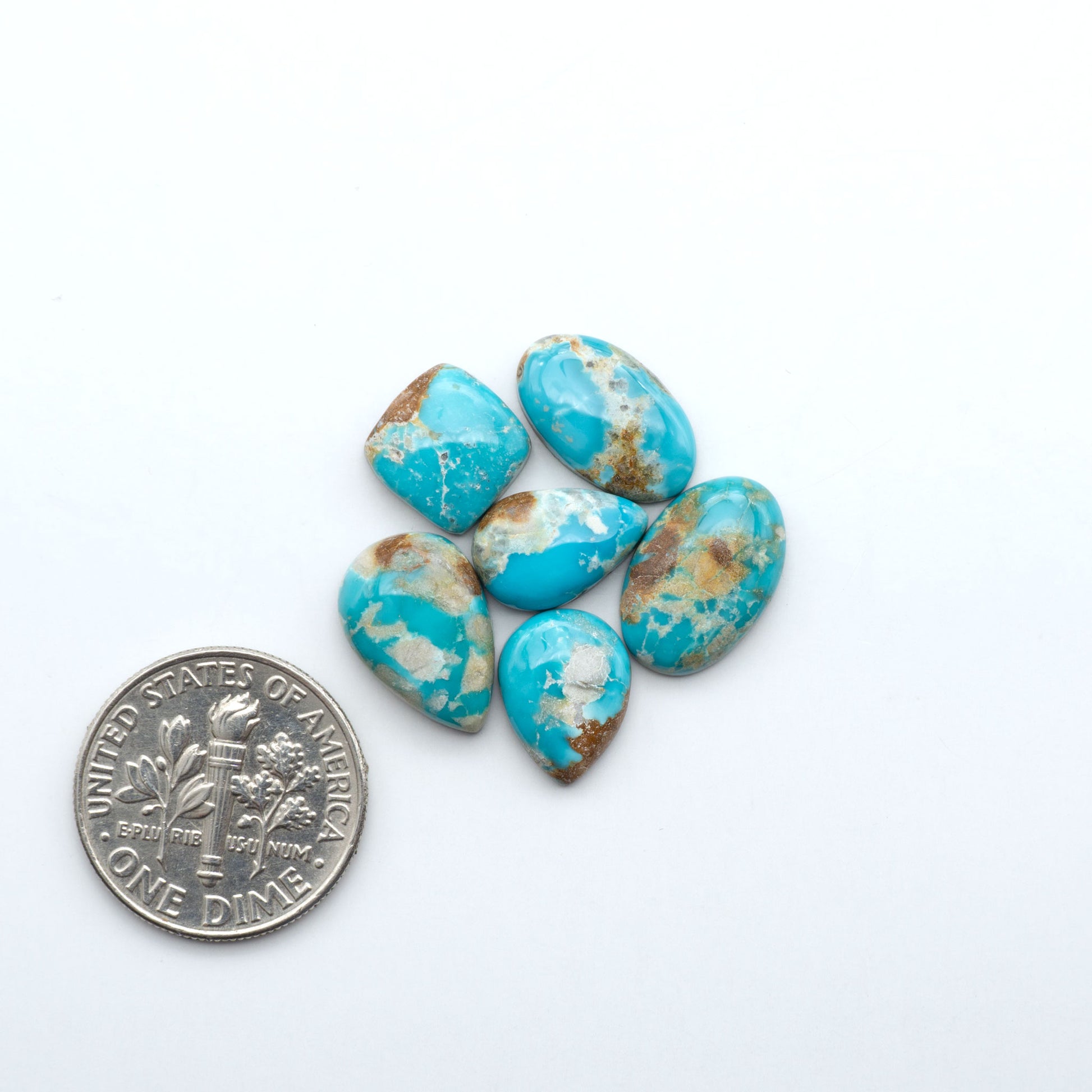 Fox Turquoise cabochons, polished gemstones with natural matrix on a white background, with a US dime for scale