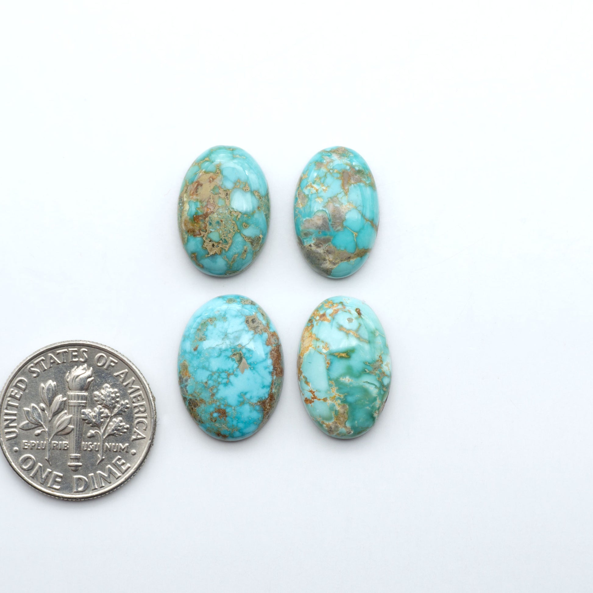 Fox Turquoise cabochons, polished gemstones with natural matrix on a white background, with a US dime for scale