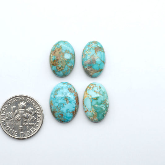 Fox Turquoise cabochons, polished gemstones with natural matrix on a white background, with a US dime for scale