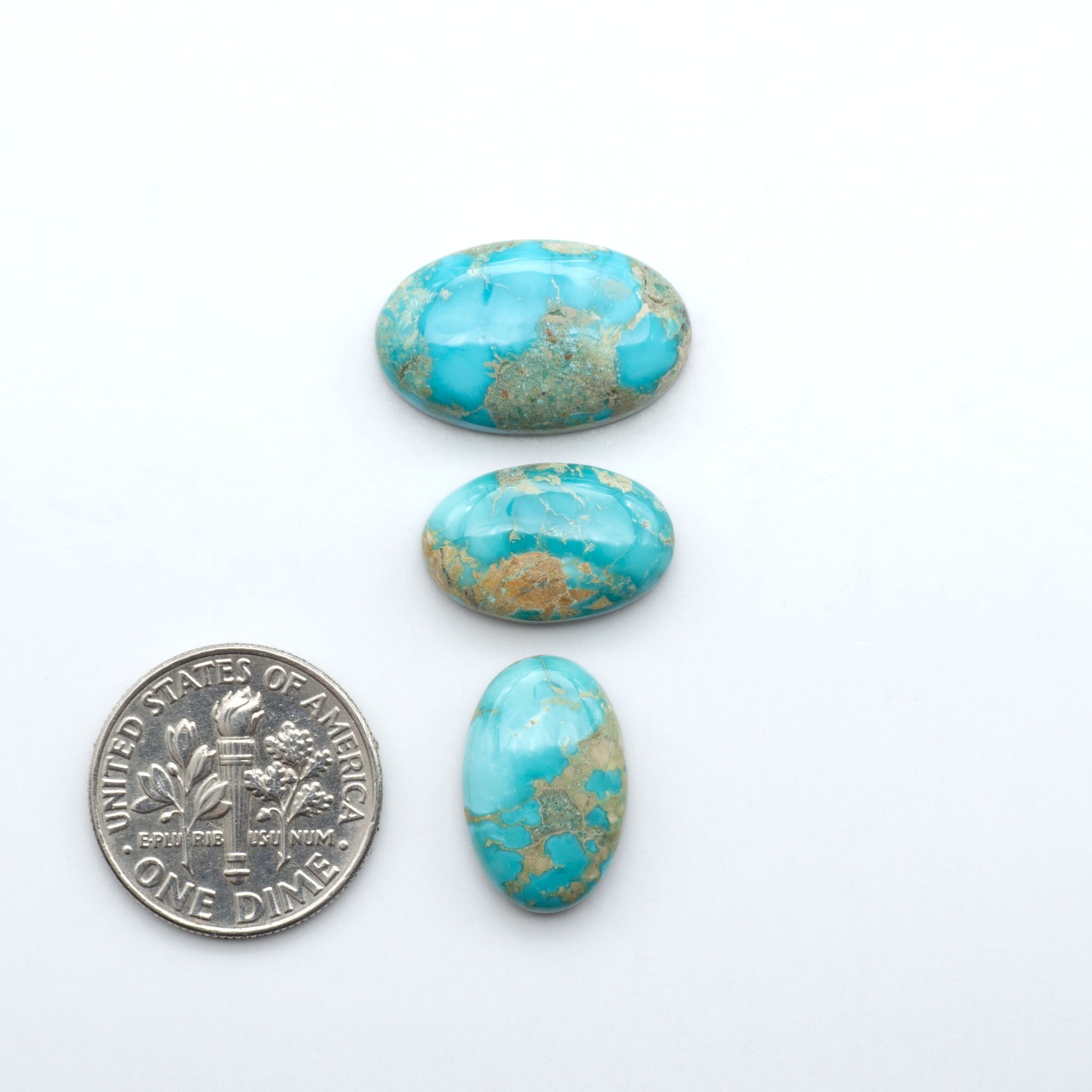 Fox Turquoise cabochons, polished gemstones with natural matrix on a white background, with a US dime for scale
