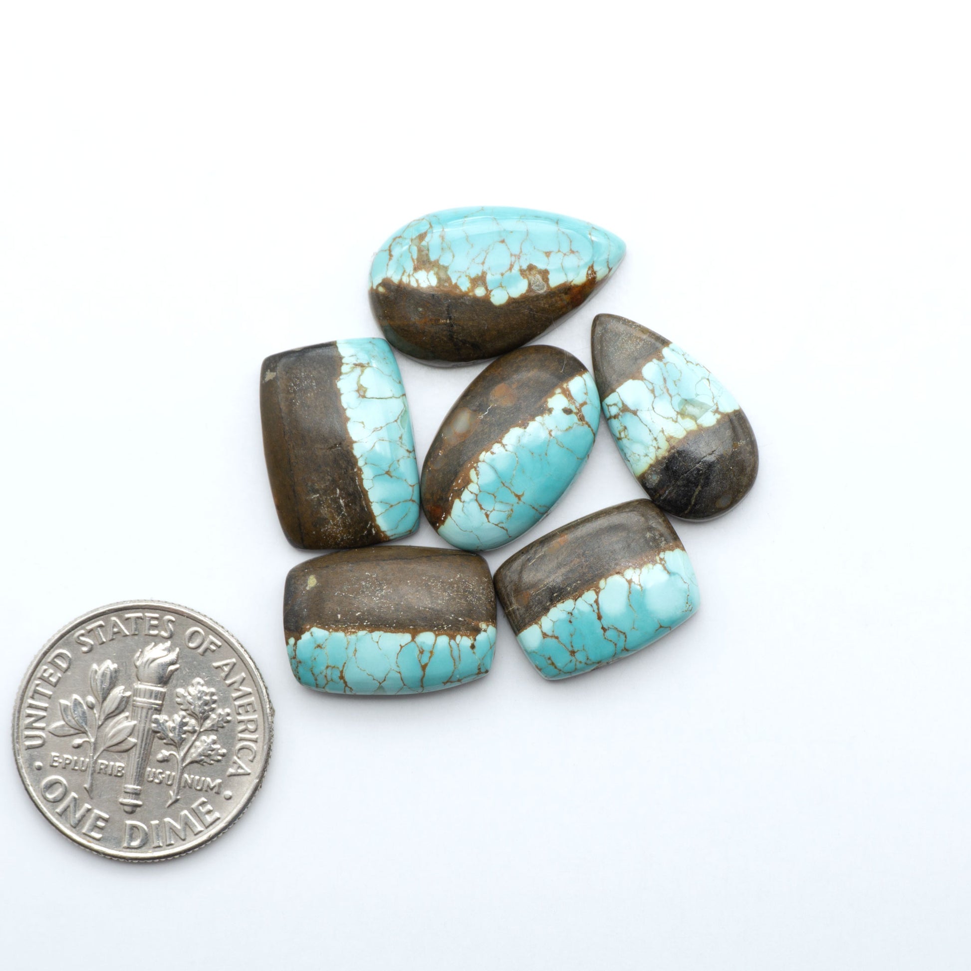 Number 8 Turquoise cabochons, blue and green color with brown matrix, polished stones on a white background, with a US dime for scale