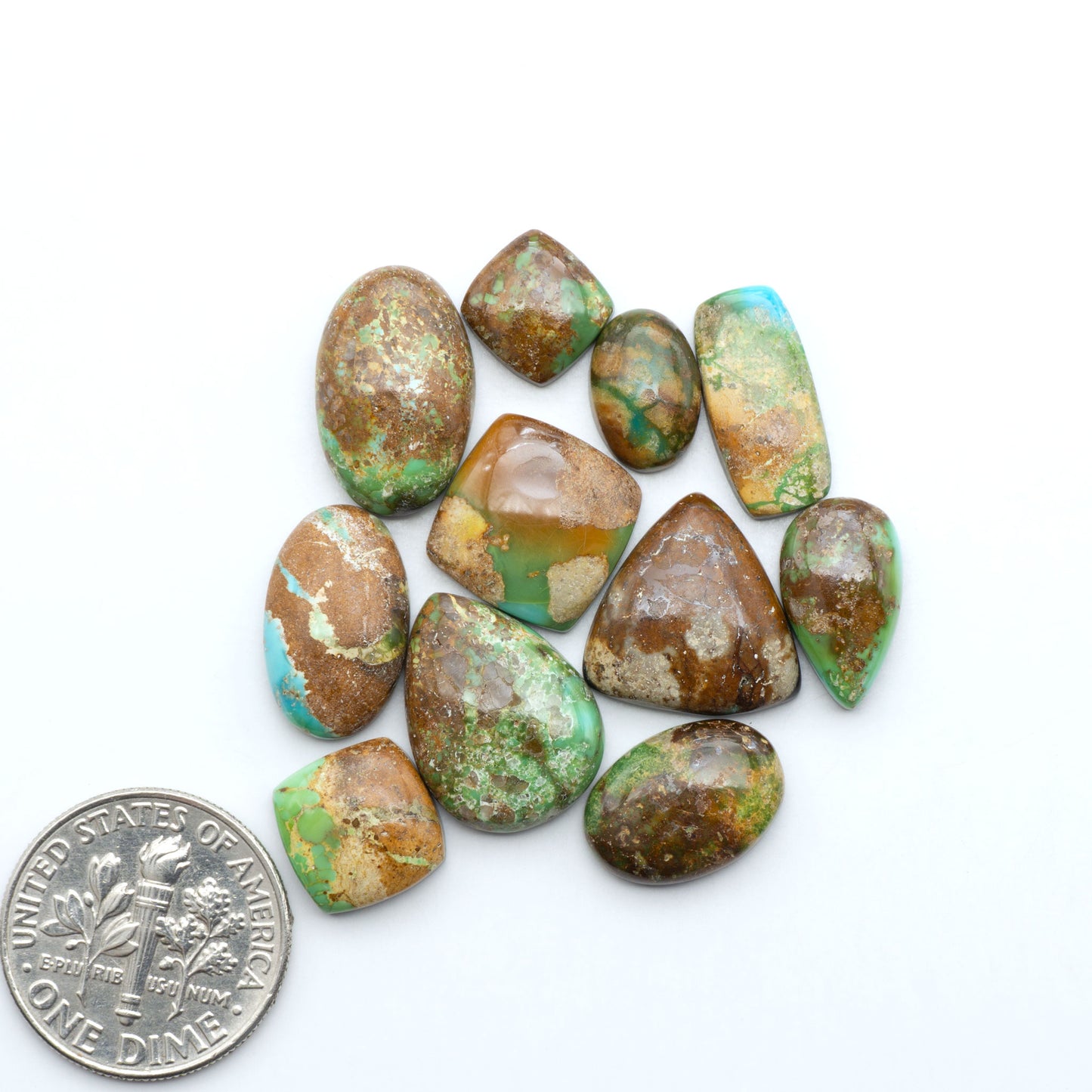 Sonoran Mountain Turquoise cabochons, blue-green color with natural matrix, polished stones on a white background, with a US dime for scale