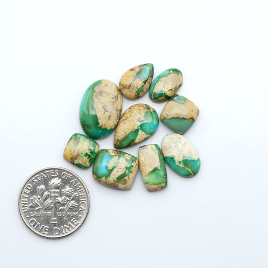 Sonoran Mountain Turquoise cabochons, blue-green color with natural matrix, polished stones on a white background, with a US dime for scale