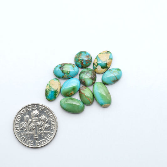 Sonoran Mountain Turquoise cabochons, blue-green color with natural matrix, polished stones on a white background, with a US dime for scale