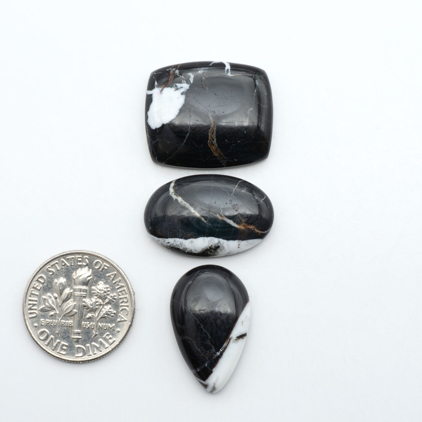 White Buffalo stone cabochons, white stone with black matrix, polished stones on a white background, with a US dime for scale