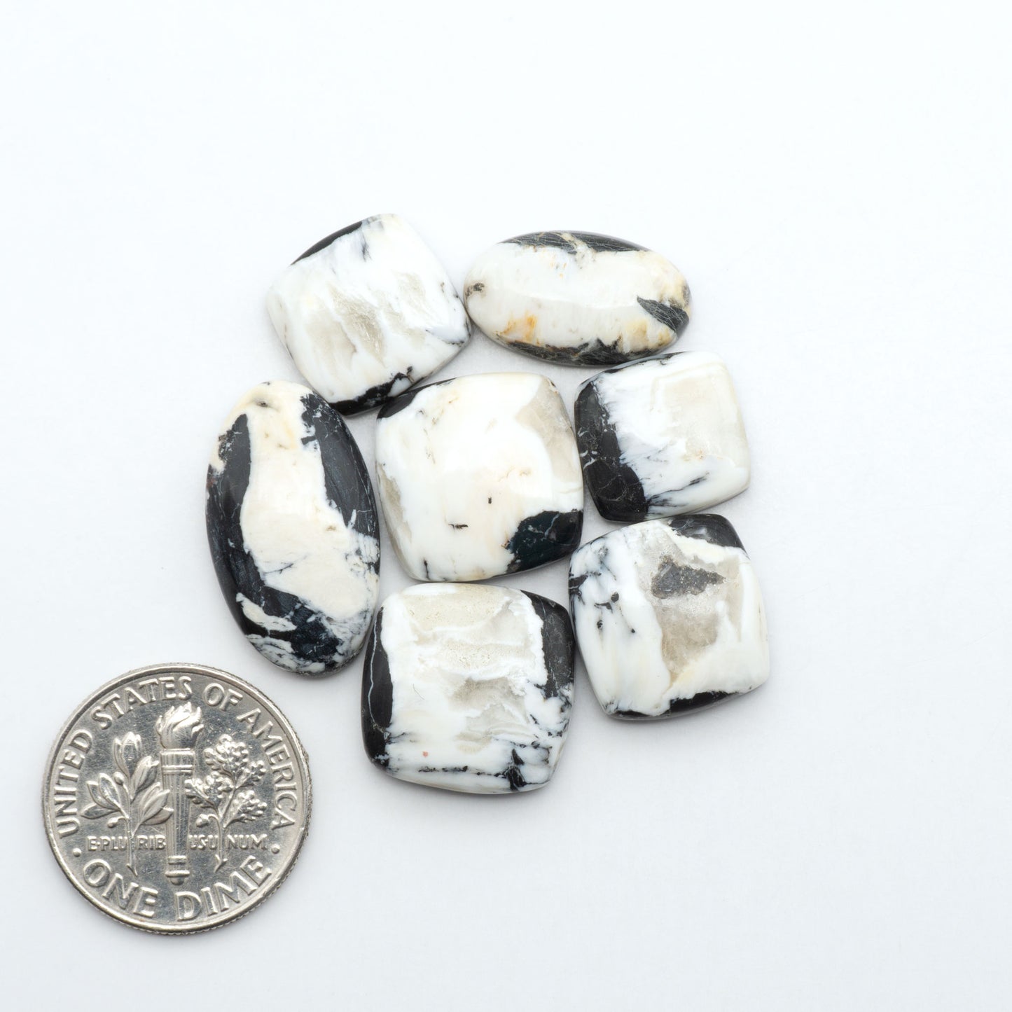 White Buffalo stone cabochons, white stone with black matrix, polished stones on a white background, with a US dime for scale