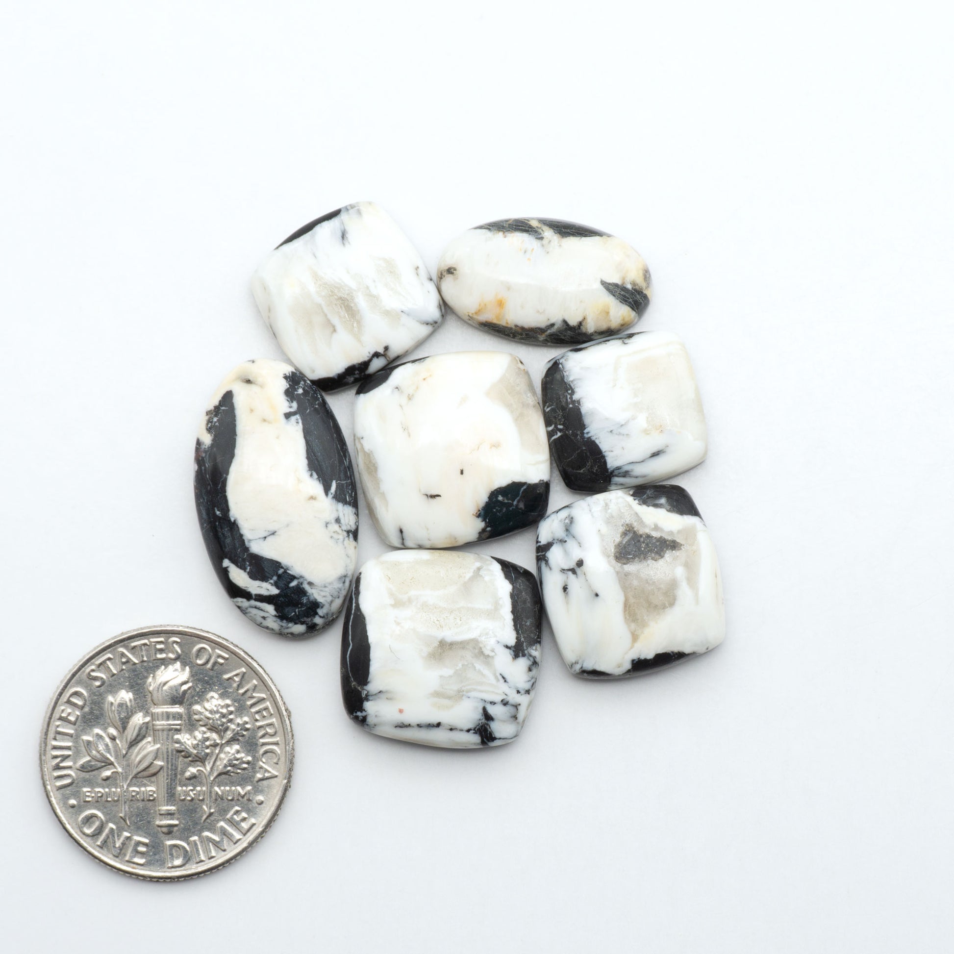 White Buffalo stone cabochons, white stone with black matrix, polished stones on a white background, with a US dime for scale