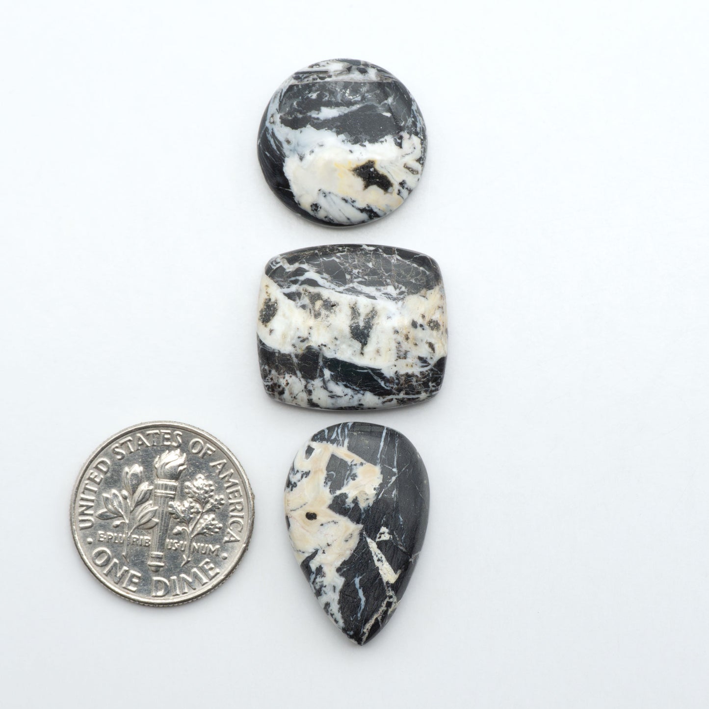 White Buffalo stone cabochons, white stone with black matrix, polished stones on a white background, with a US dime for scale