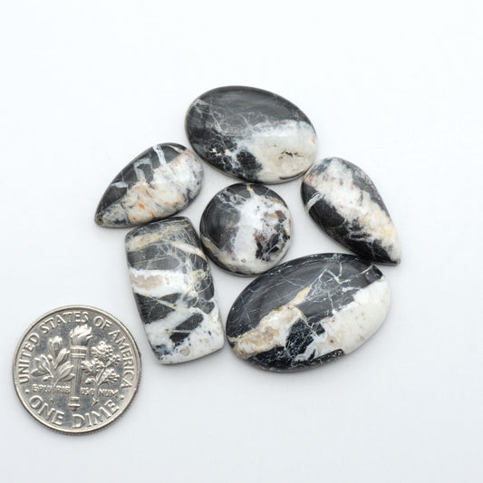 White Buffalo stone cabochons, white stone with black matrix, polished stones on a white background, with a US dime for scale