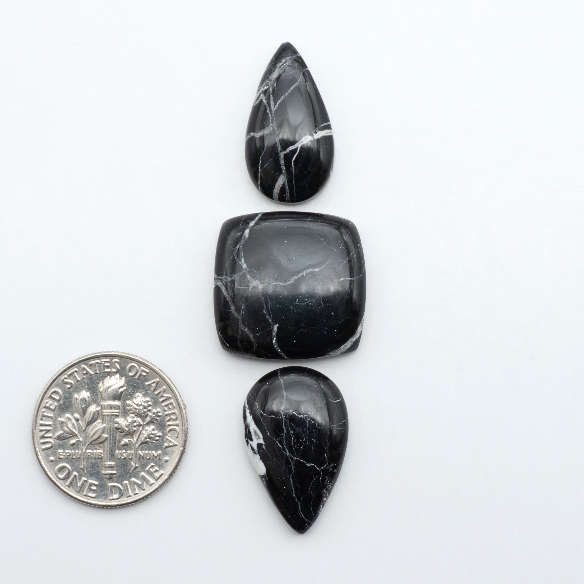 White Buffalo stone cabochons, white stone with black matrix, polished stones on a white background, with a US dime for scale