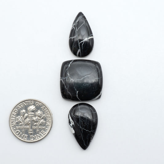 White Buffalo stone cabochons, white stone with black matrix, polished stones on a white background, with a US dime for scale