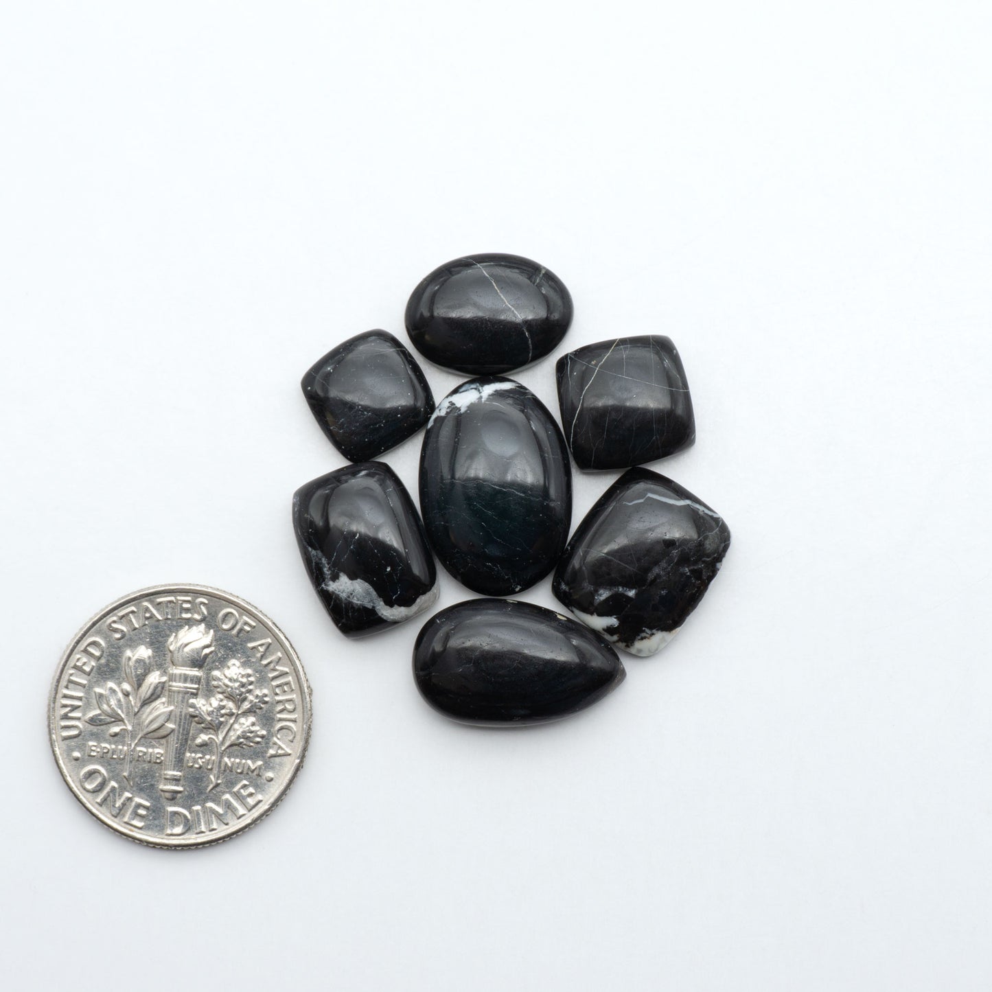 White Buffalo stone cabochons, white stone with black matrix, polished stones on a white background, with a US dime for scale