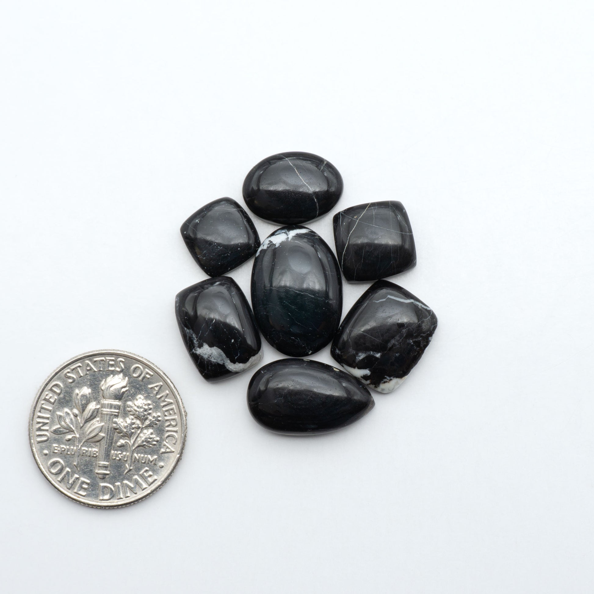 White Buffalo stone cabochons, white stone with black matrix, polished stones on a white background, with a US dime for scale