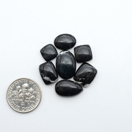White Buffalo stone cabochons, white stone with black matrix, polished stones on a white background, with a US dime for scale