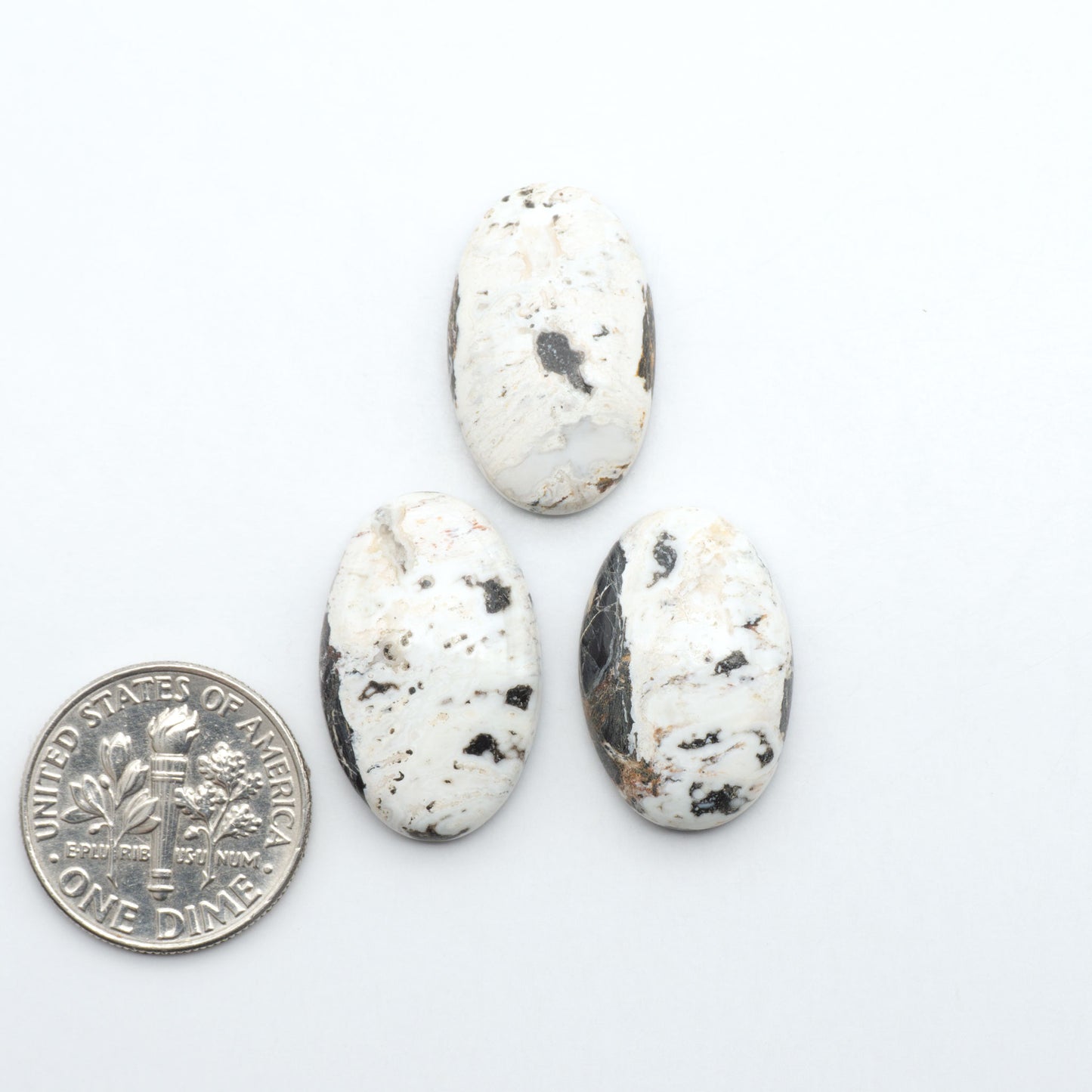 White Buffalo stone cabochons, white stone with black matrix, polished stones on a white background, with a US dime for scale