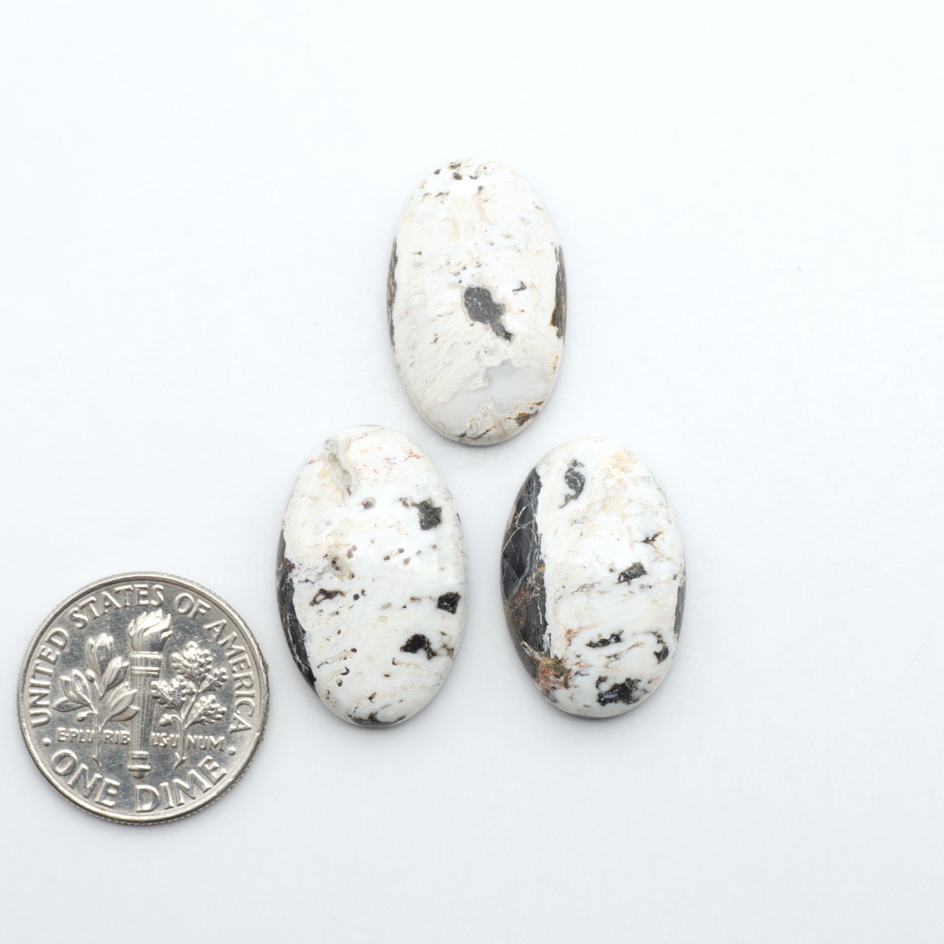 White Buffalo stone cabochons, white stone with black matrix, polished stones on a white background, with a US dime for scale