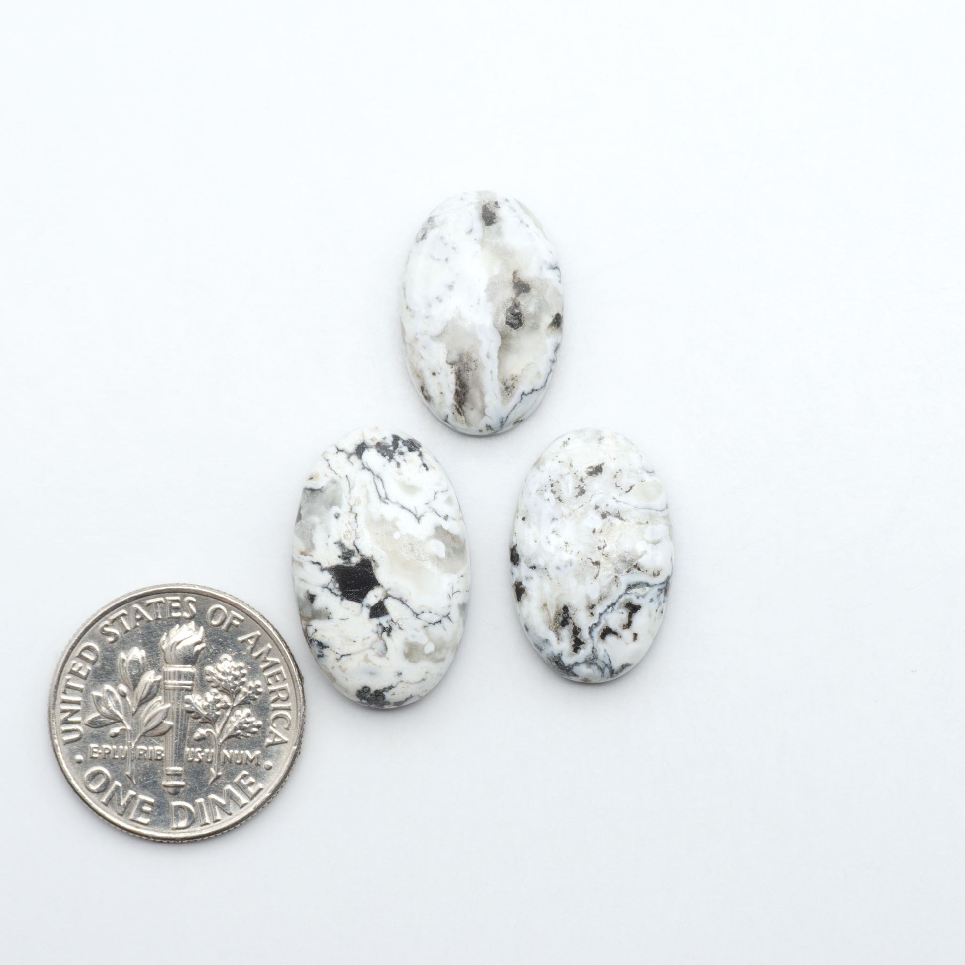 White Buffalo stone cabochons, white stone with black matrix, polished stones on a white background, with a US dime for scale