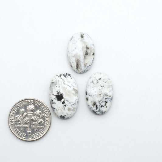 White Buffalo stone cabochons, white stone with black matrix, polished stones on a white background, with a US dime for scale